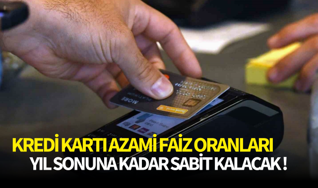 Kredi kartı azami faiz oranları yıl sonuna kadar sabit kalacak!