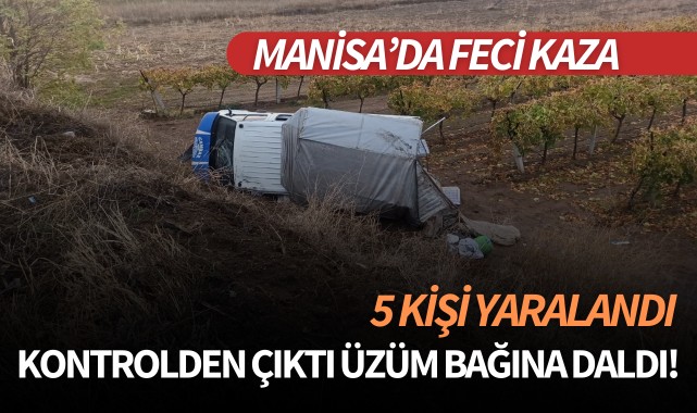 Manisa'da feci kaza: Kontrolden çıktı üzüm bağına daldı!