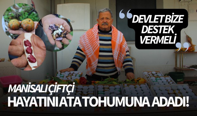 Manisalı çiftçi hayatını ata tohumuna adadı!