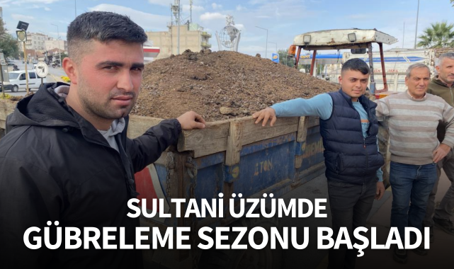 Sultani üzümde gübreleme sezonu başladı