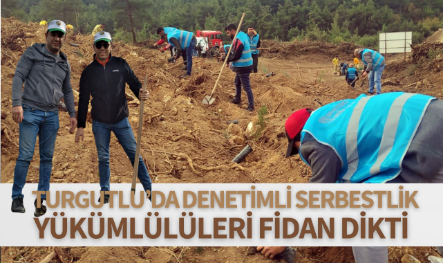 Turgutlu'da denetimli serbestlik yükümlülüleri fidan dikti