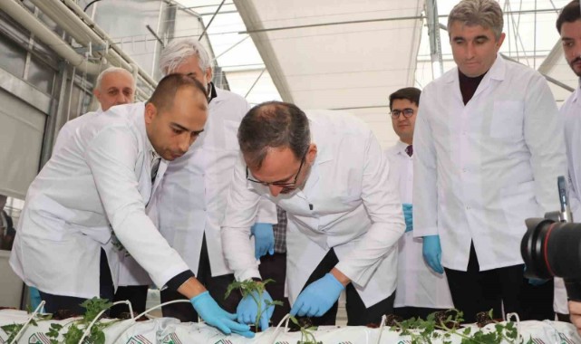 Manisa'da Jeotermal Kaynaklı Teknolojik Sera'da ilk fideler dikildi