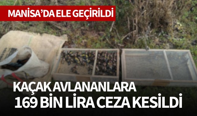 Kaçak avlananlara 169 bin lira ceza kesildi