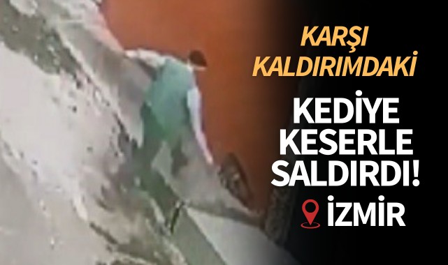 Karşı kaldırımdaki kediye keserle saldırdı