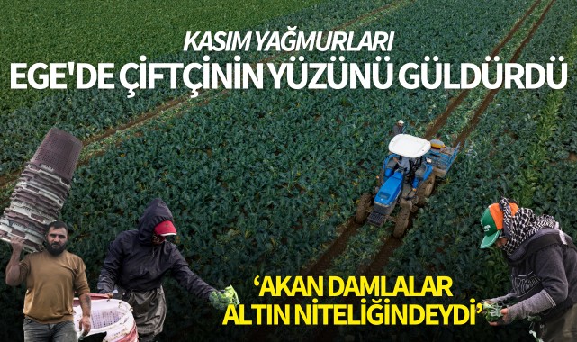 Kasım yağmurları Ege'de çiftçilerin yüzünü güldürdü