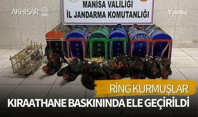 Kıraathane baskınında dövüş horozları yakalandı