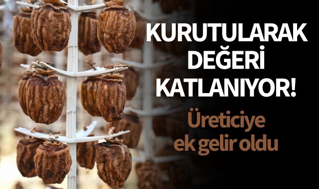 Kurutularak değeri katlanıyor! Üreticiye ek gelir oldu