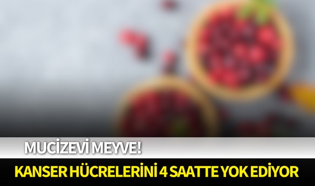 Mucizevi meyve! Kanser hücrelerini 4 saatte yok ediyor