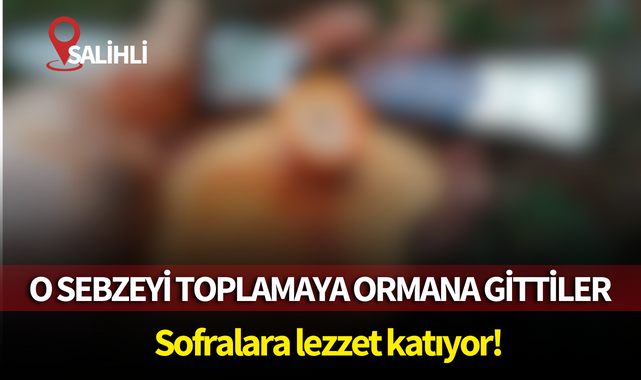 O sebzeyi toplamaya ormana gittiler,sofralara lezzet katıyor!