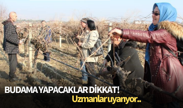 Budama yapacaklar dikkat! Uzmanlar uyarıyor..