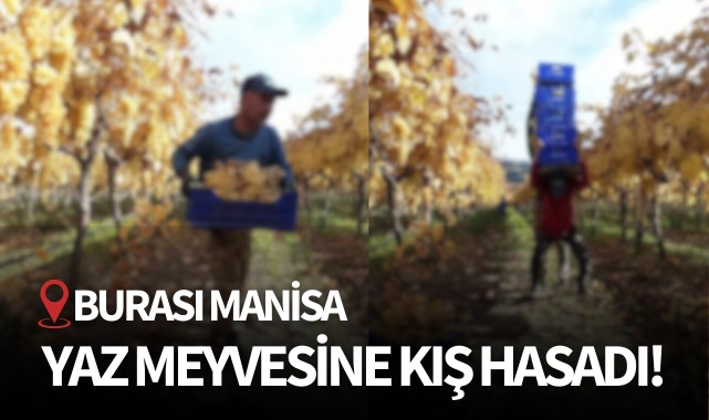 Yaz meyvesine kış hasadı!