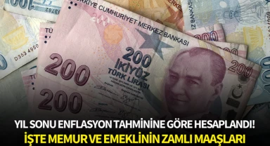 Yıl sonu enflasyon tahminine göre hesaplandı! İşte memur ve emeklinin zamlı maaşları