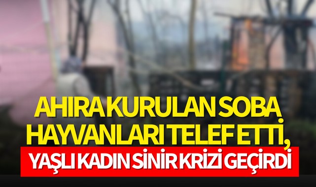Ahıra kurulan soba hayvanları telef etti, yaşlı kadın sinir krizi geçirdi!