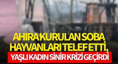 Ahıra kurulan soba hayvanları telef etti, yaşlı kadın sinir krizi geçirdi!
