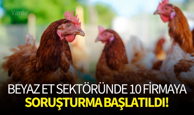 Beyaz et sektöründe 10 firmaya soruşturma başlatıldı!