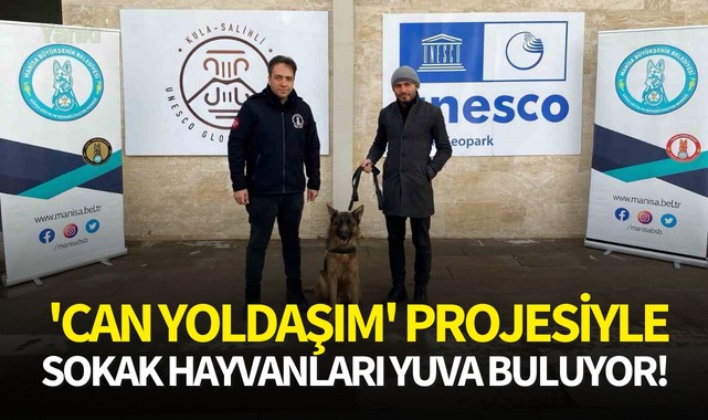 'Can Yoldaşım' projesiyle sokak hayvanları yuva buluyor!