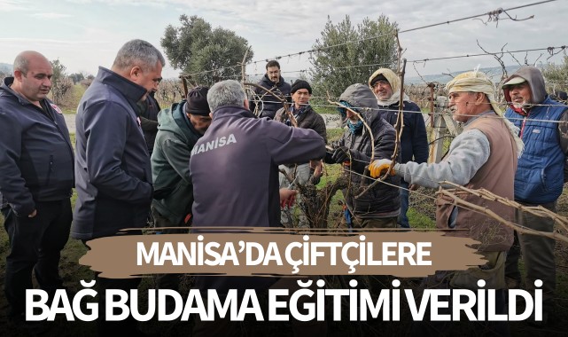 Çiftçilere bağ budama eğitimi verildi