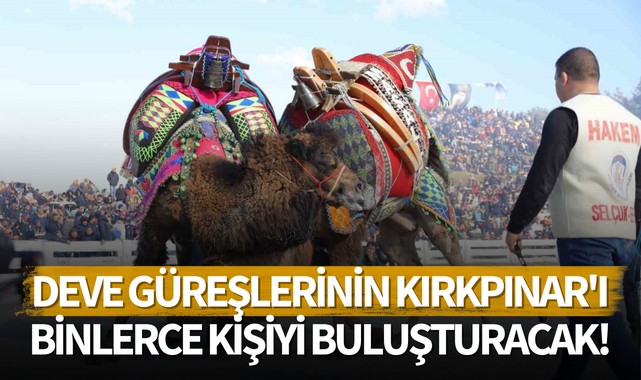 Deve güreşlerinin Kırkpınar'ı binlerce kişiyi buluşturacak!