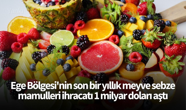 Ege Bölgesi'nin son bir yıllık meyve sebze mamulleri ihracatı 1 milyar doları aştı