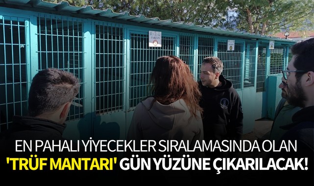 En pahalı yiyecekler sıralamasında olan 'Trüf Mantarı' gün yüzüne çıkarılacak!