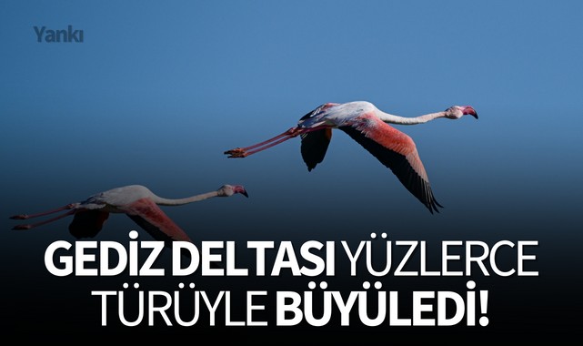 Gediz Deltası yüzlerce türüyle büyüledi!