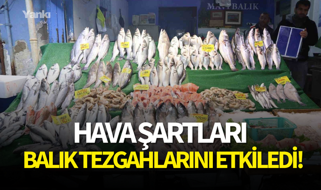 Hava şartları balık tezgahlarını etkiledi!