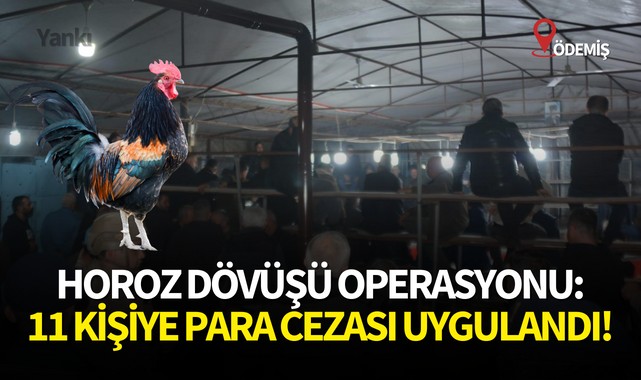 Horoz dövüşü operasyonu:11 kişiye para cezası uygulandı!