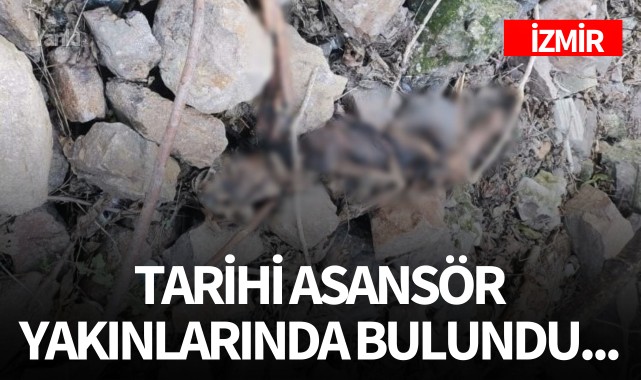 İzmir Tarihi Asansör yakınlarında bulundu