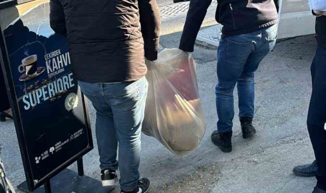 İzmir'de korkunç olay! 3 köpek telef oldu, 2 köpek tedaviye alındı