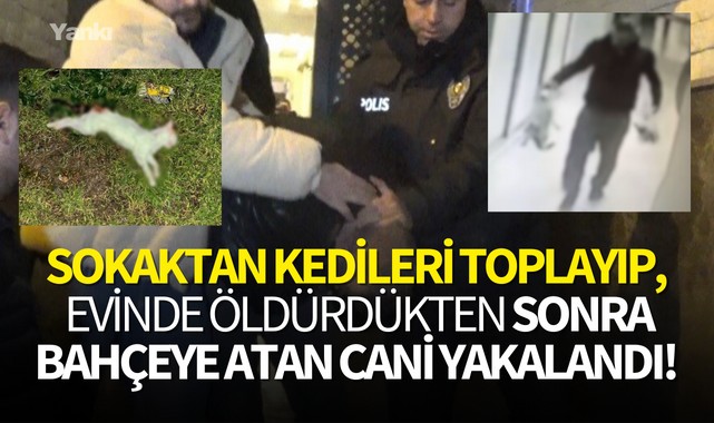 Sokaktan kedileri toplayıp, evinde öldürdükten sonra bahçeye atan cani yakalandı!