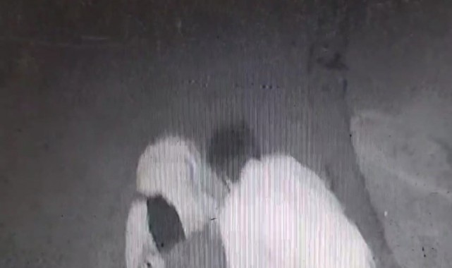 İzmir'deki 'laf atma' cinayetinin görüntüsü ortaya çıktı