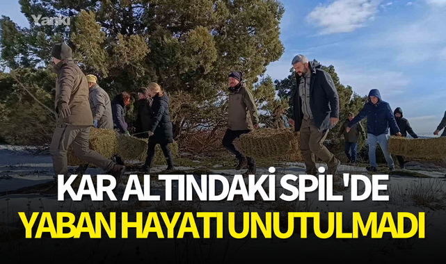 Kar altındaki Spil'de yaban hayatı unutulmadı