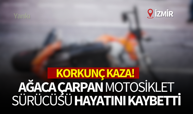 Korkunç kaza! Ağaca çarpan motosikletin sürücüsü hayatını kaybetti