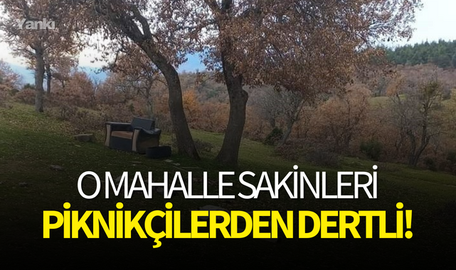 O mahalle sakinleri piknikçilerden dertli!