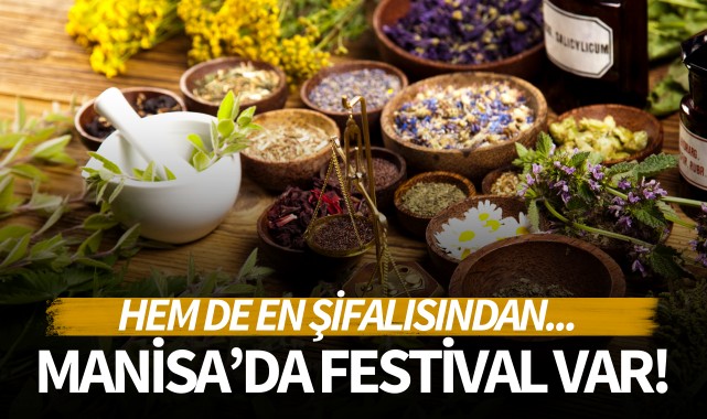 Manisa'da festival var!