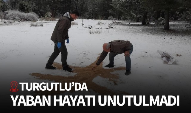 Turgutlu'da yaban hayatı unutulmadı