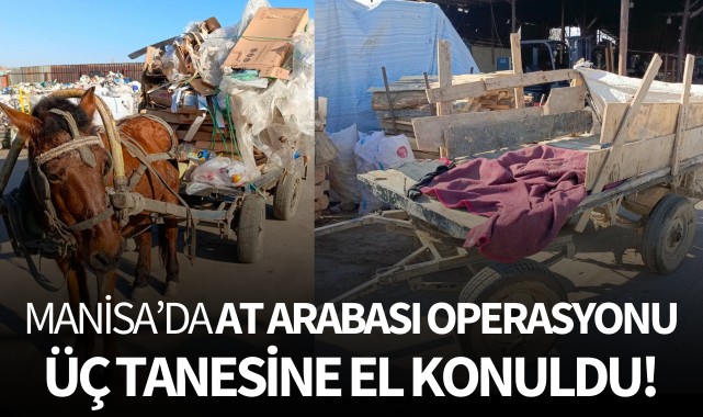 Manisa'da at arabası operasyonu!