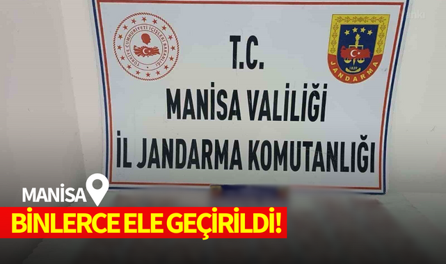 Manisa'da binlerce ele geçirildi!