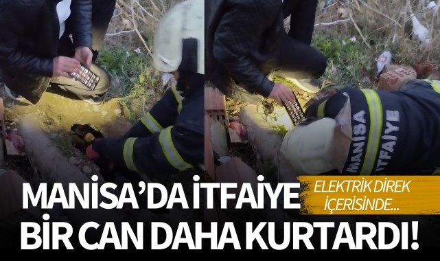 Manisa'da itfaiye bir can daha kurtardı