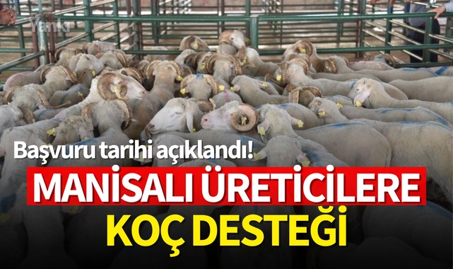Manisalı üreticilere koç desteği:Başvuru tarihi açıklandı