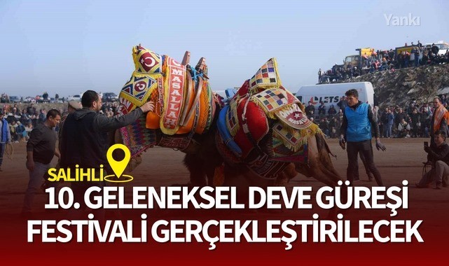 Salihli 10. Geleneksel Deve Güreşi Festivali'ne hazır