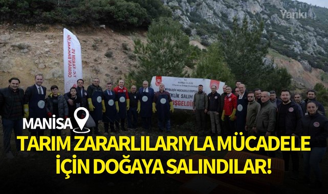 Tarım zararlılarıyla mücadele için doğaya salındılar!