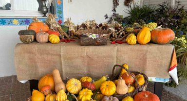 Ürettiği binbir çeşit ata tohumunu ücretsiz bir şekilde dağıtıyor!