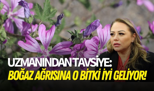 Uzmanından tavsiye: Boğaz ağrısına o bitki iyi geliyor!