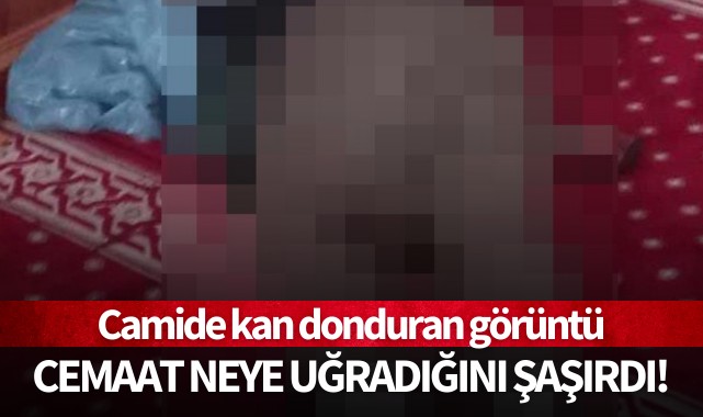 Camide kan donduran görüntüler!