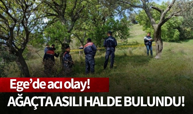 Ege'de acı olay: Ağaca asılı halde bulundu