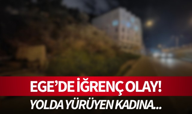 Ege'de iğrenç olay! Yolda yürüyen kadına cinsel taciz