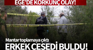 Ege'de korkunç olay! Mantar toplamaya çıktı, erkek cesedi buldu!