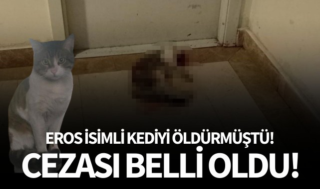 Eros isimli kediyi öldürmüştü: Cezası belli oldu!