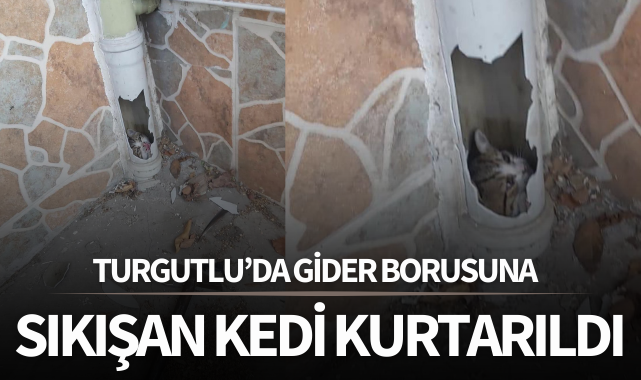 Gider borusuna sıkışan kedi kurtarıldı